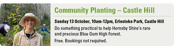 Community Planting