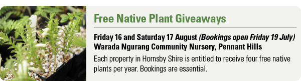Native Plant Giveaways