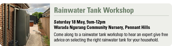 Rainwater tank workshop