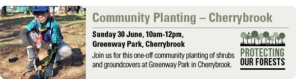 Community Planting - Cherrybrook