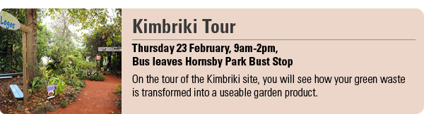 Kimbriki tour