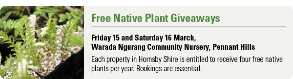 Native Plant Giveaway