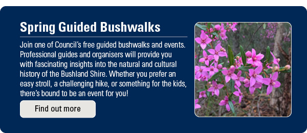 Bushwalks
