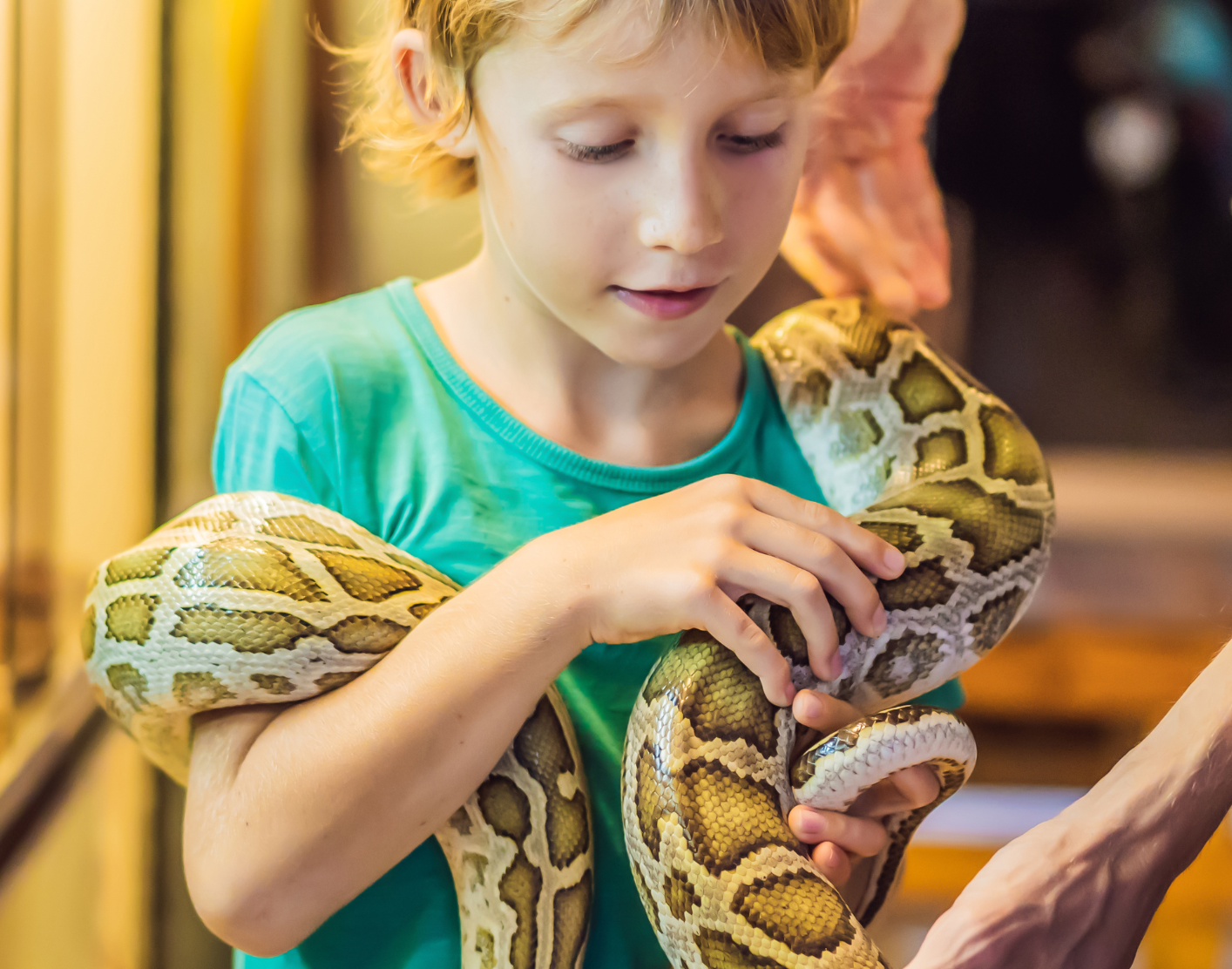 Boy holding snake