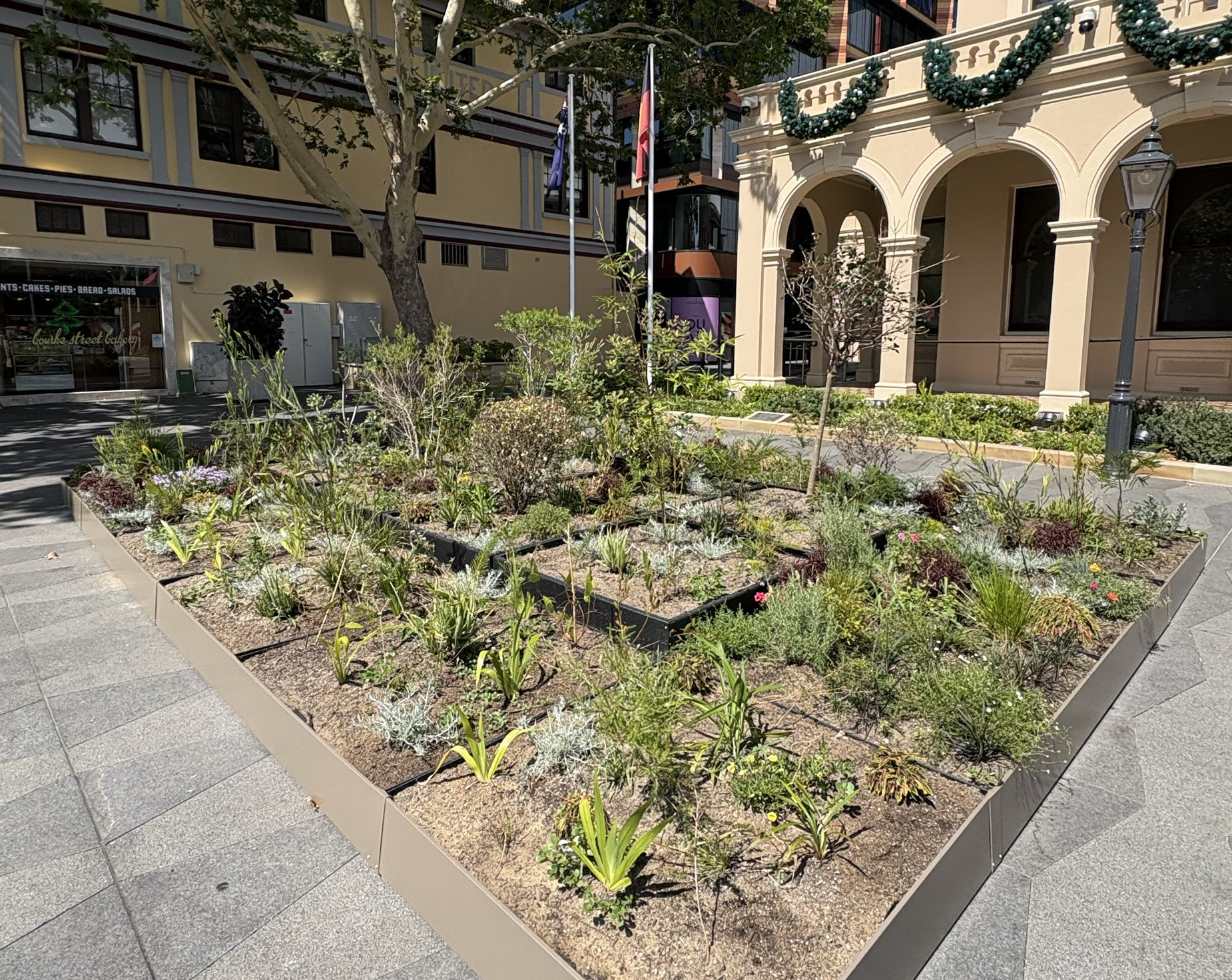 Plant boxes in Centenary Square