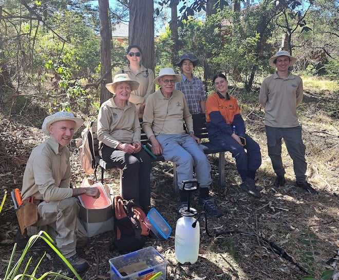 group of people sitting in the bush