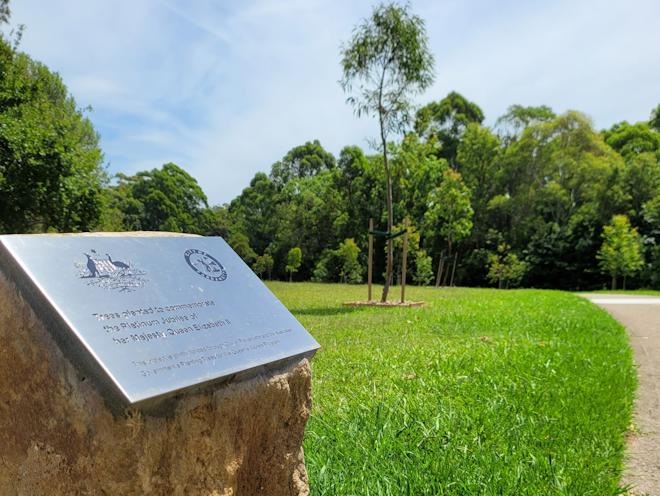 Newly installed tribute to Queen Elizabeth II, new trees in Upjohn Park