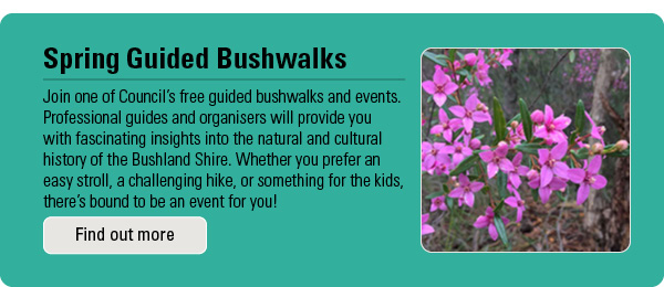 Bushwalks